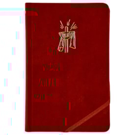 Segunda imagem do produto Bíblia Sagrada Slim | NVI | Luxo Tecido Cereja | Capa Dura | Com Elástico Transversal