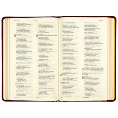 image_61c97bcf-9b0b-4574-9aad-05d5ac6f7a65