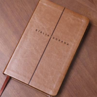 image_ad6f7d73-614d-41ea-ba17-42bd90be92ba