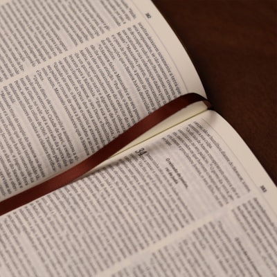 image_f91aedcd-e640-43e3-ba24-9144213ecdac