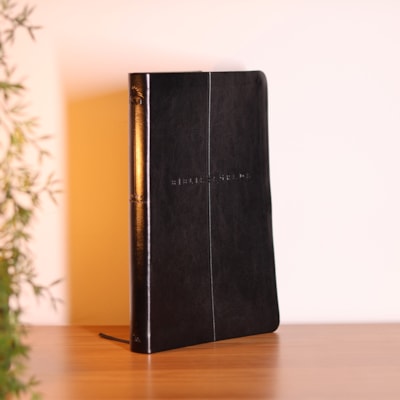 image_d14d99ac-d980-4a36-9ce9-ed4893f0263c