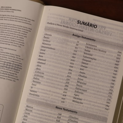 image_8ea47968-5b78-4bc7-89a6-c7497529dd36