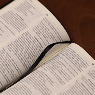 image_754a614d-ac94-41dd-ae3c-41107c8d26eb