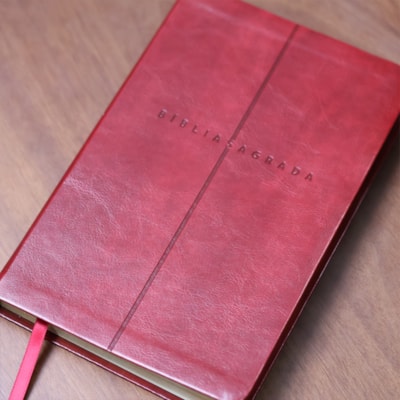 image_919ce7f6-d633-4e36-8179-cf239bdc87d1