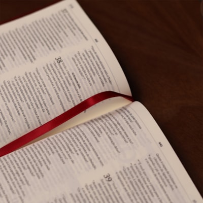 image_24e9b77d-f8ae-4f40-90bc-0c5fab44130e