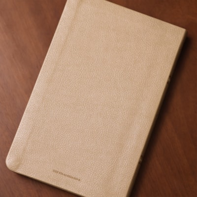 image_a7e99b55-6fe4-486f-8013-df8aa2366e4d