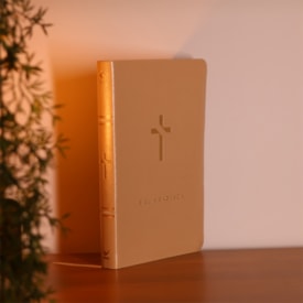 Segunda imagem do produto Bíblia Sagrada Slim | NVT | Bege