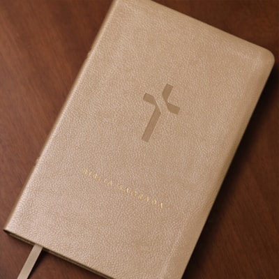 image_e0b54bcf-7df6-42b2-acf4-c7f7e088c0e7