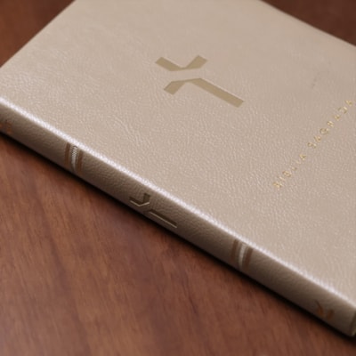 image_e080e615-28c5-4d46-9bdb-937544af8b11