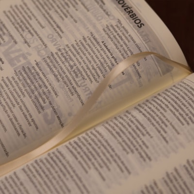 image_ba26b283-4f0f-431e-a749-fb4b1d5e5c50