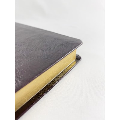 Segunda imagem do produto Bíblia Sagrada Slim | NVT | Letra Normal | Capa Marrom