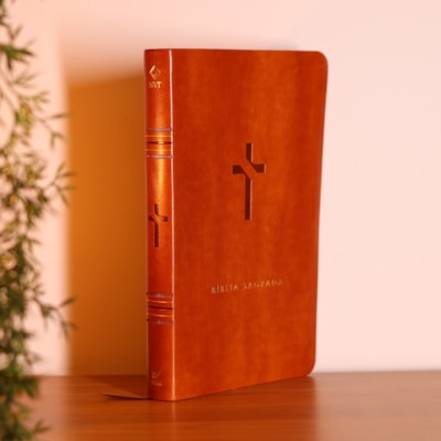 image_52826242-5b33-4c60-aec1-d025e70ef62e