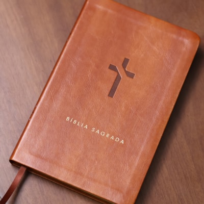 image_641c40c0-1641-492c-83b9-271781c954a8