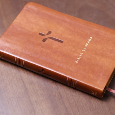 image_27cad670-a2bb-4d57-bbdb-43ffb4ed5b88