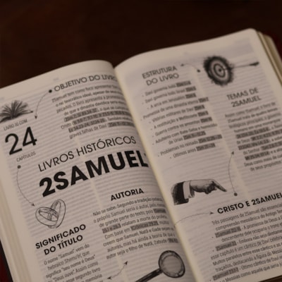 image_f6c3d628-9a00-467f-a626-38465336d395