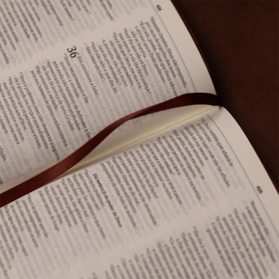 image_e4093b7a-4752-4629-9743-81dea74a22dd