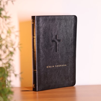 image_fef36c7a-9824-459c-9ad0-e71cae3a82e7