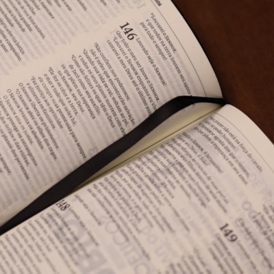 image_11185451-2d00-4235-9e68-211a0a24088b