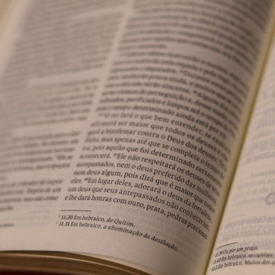 image_380ef108-873d-4557-b341-9b4fd19e6190