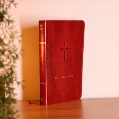 image_3e50a47e-b654-493f-b348-94d35bbaa1f4