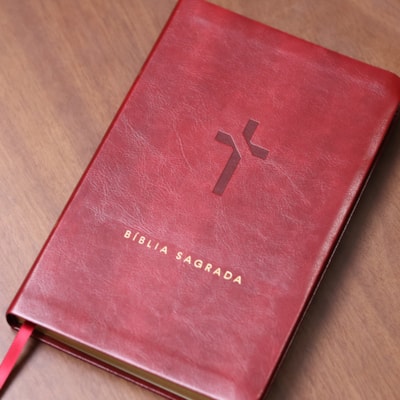 image_1b25024a-c62f-4ff5-a23d-77287195dbf6