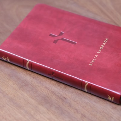 image_25b3f06e-d329-4f48-b139-d9f72779594b