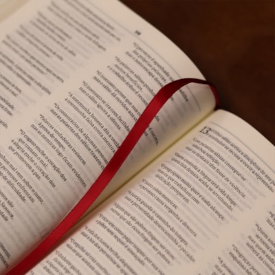 image_0a8b5b3a-d4bb-42c0-a21f-89d0fcc8304f