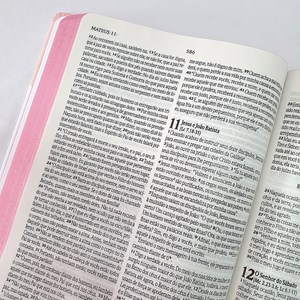 Bíblia Sagrada Slim Pinceladas de Amor | NVI | Letra Maior | Semi Luxo