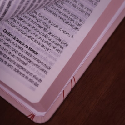 image_cdc58cc5-f0a6-4ade-9588-511f494f6116