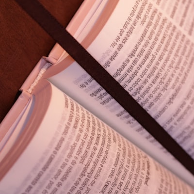 image_23d1a3f1-a174-4ed5-9c5b-eb74c2708683