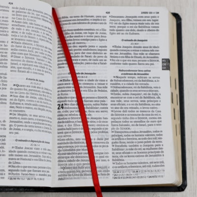 image_8eb8429c-e1e4-427c-9f74-117048f8a5b9