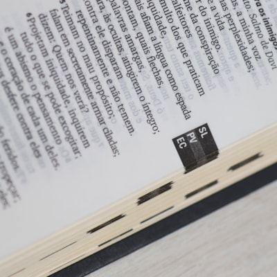 image_d04485f6-ca10-4f4c-81b3-86fc3df97e4a