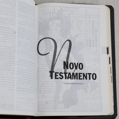 image_5c6f4d91-12c4-4086-8ae0-e1c34d977e09