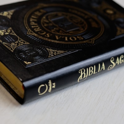 image_97f1dfc7-a71e-4ece-8f0b-0589a7681bdd