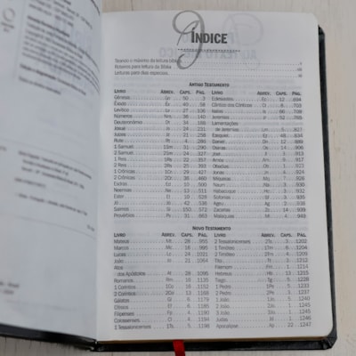 image_49d05797-efad-492c-9b63-cd7e9b610a37