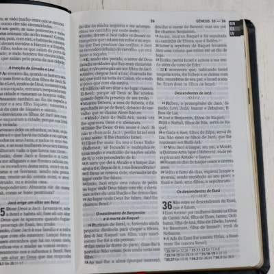 image_862567a2-e632-418a-a916-f7a8549987a8