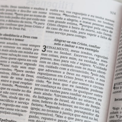 image_676c3d0d-26cd-46d9-9863-1efec087b624