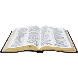 Bíblia Sagrada Supergigante NAA | Capa Marrom Luxo