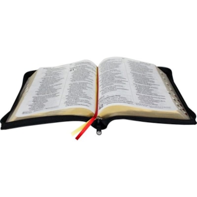 image_41d3d2b5-9078-4c5d-a60c-b5b79111a31e