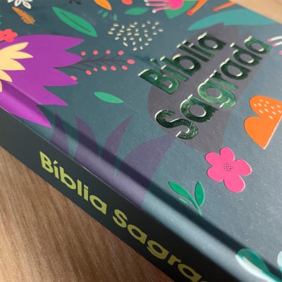 image_8e783775-c708-4d16-9516-95c548015829