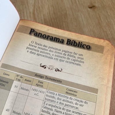 image_b15b3d99-0702-416c-a4e4-b989a042c25e