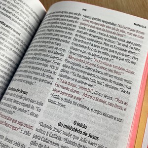 Bíblia Sagrada Tarde Colorida | NVT | Letra Grande | Capa Dura