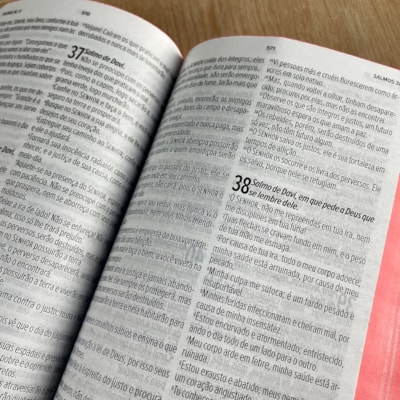 image_3c619560-dd5d-4e00-b08a-776ea250da00