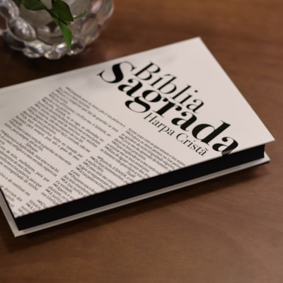 image_511b535f-315b-4ce7-a4d0-0947c10335d5