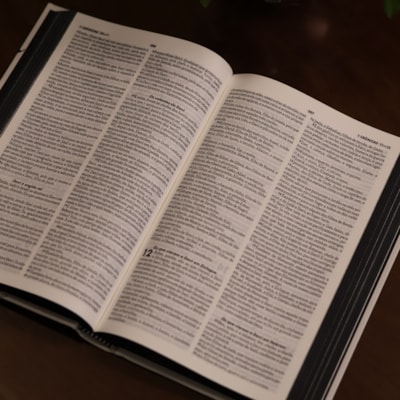 image_10c55c01-9078-4c68-9317-6adb40b77d9e