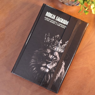 image_ac6d7841-00c6-4e3f-a968-3b36ce9c84a6