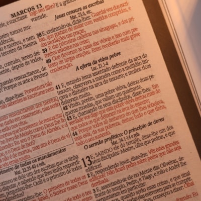 image_09fd8a9b-f839-44eb-8ace-2435b365ce1d