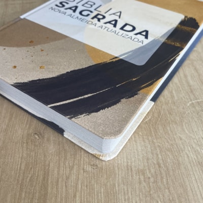 image_3816898a-2f55-4a37-9f46-80ce0b877a24