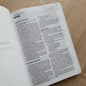 Bíblia Sagrada Tradicional Aquarela | NAA | Letra Normal | Capa Dura