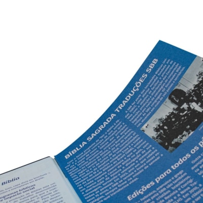 image_1e6e74f1-cf37-4b01-a198-66cd285cfee3